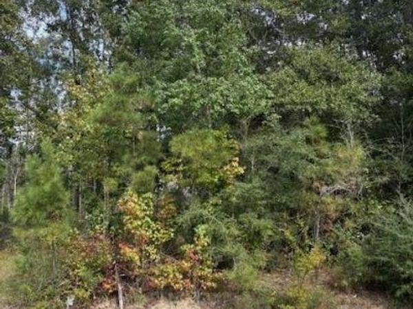 64400 JOSEPHINE Street, Pearl River, LA 70452