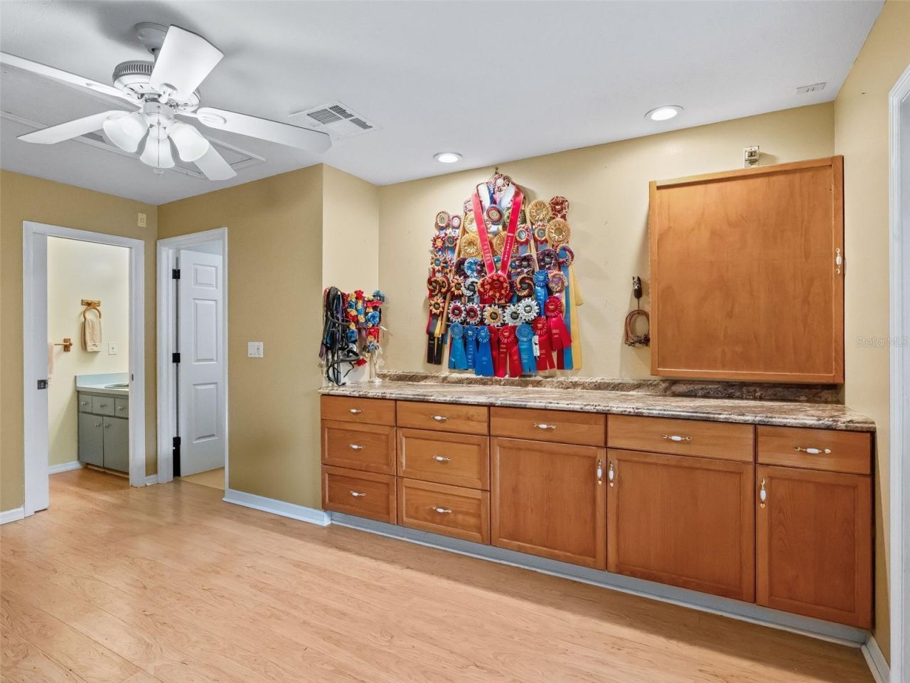 17244 SE 130th Avenue, Weirsdale, FL 32195 Photo