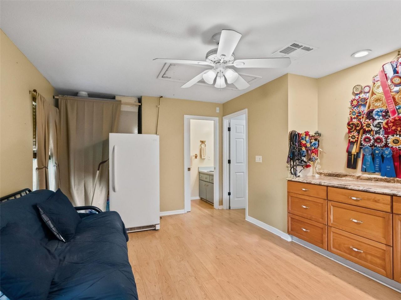 17244 SE 130th Avenue, Weirsdale, FL 32195 Photo