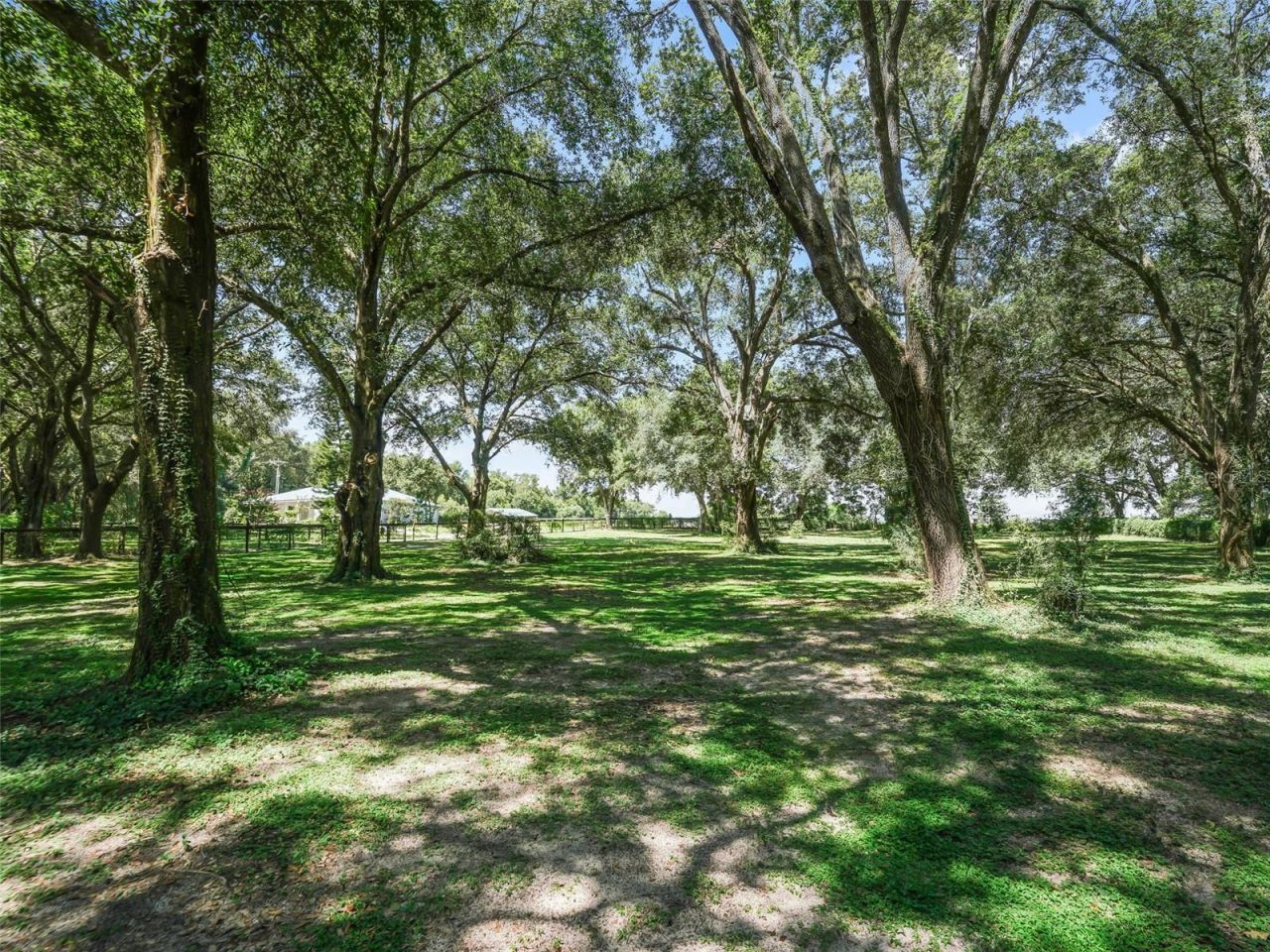 17244 SE 130th Avenue, Weirsdale, FL 32195 Photo