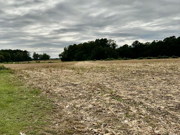 644 Cherry Town Road, Hallsboro, NC 28442