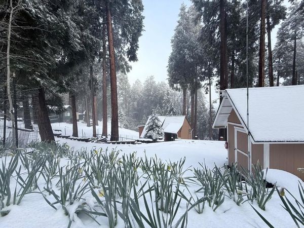 32811 Birch Hill Road, Palomar Mountain, CA 92060