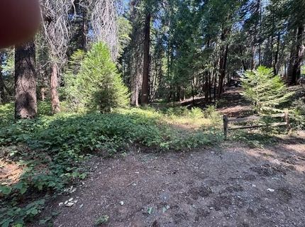 Little John Way, Pollock Pines, CA 95726 Photo