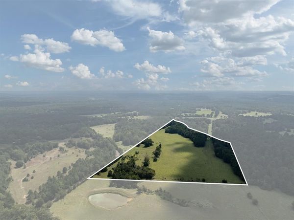 Tract 2 An County Road 153, Palestine, TX 75801