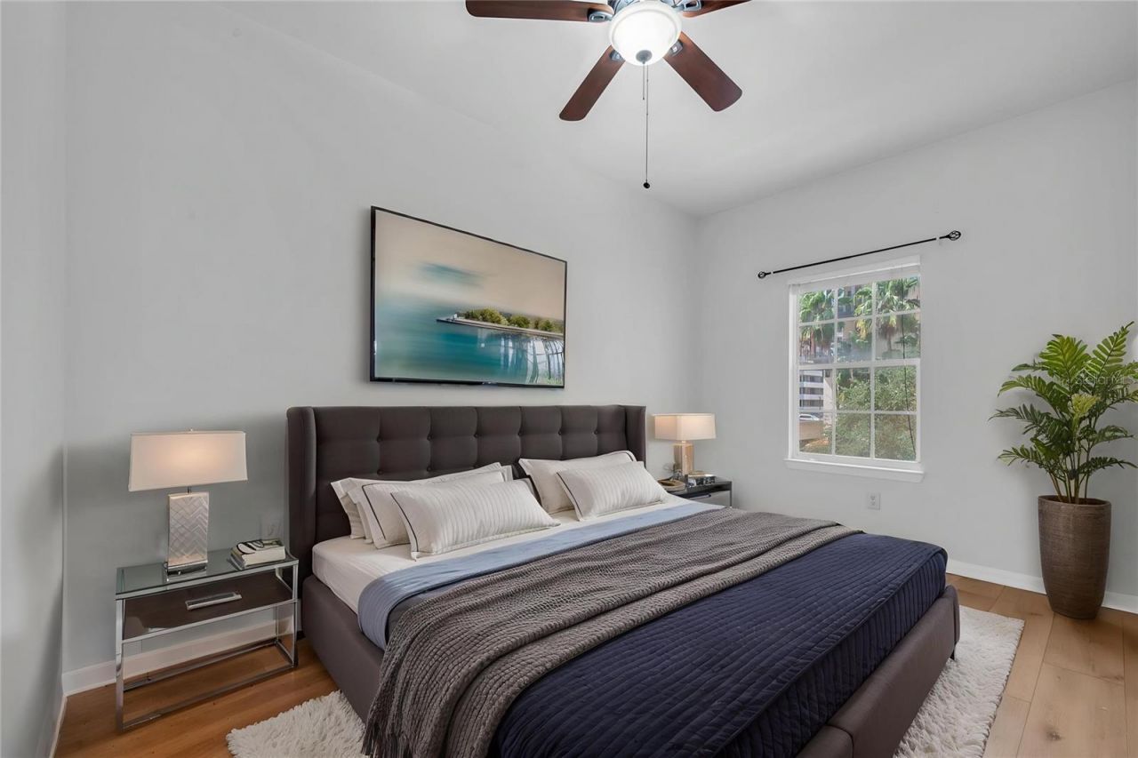 100 4th Avenue S, Unit 223, Saint Petersburg, FL 33701 Photo