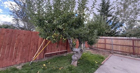 230 Glenmanor Drive, Reno, NV 89509 Photo