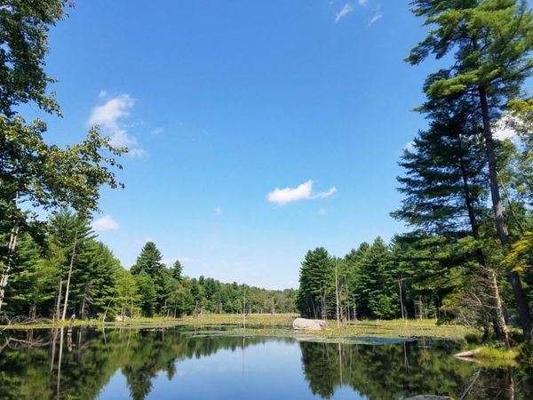 266 Holland Rd, Sturbridge, MA 01518