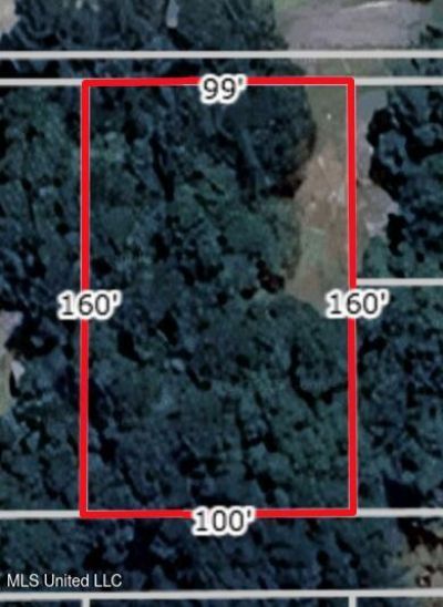 0 N Pine Ext Road, Pass Christian, MS 39571 Main Photo