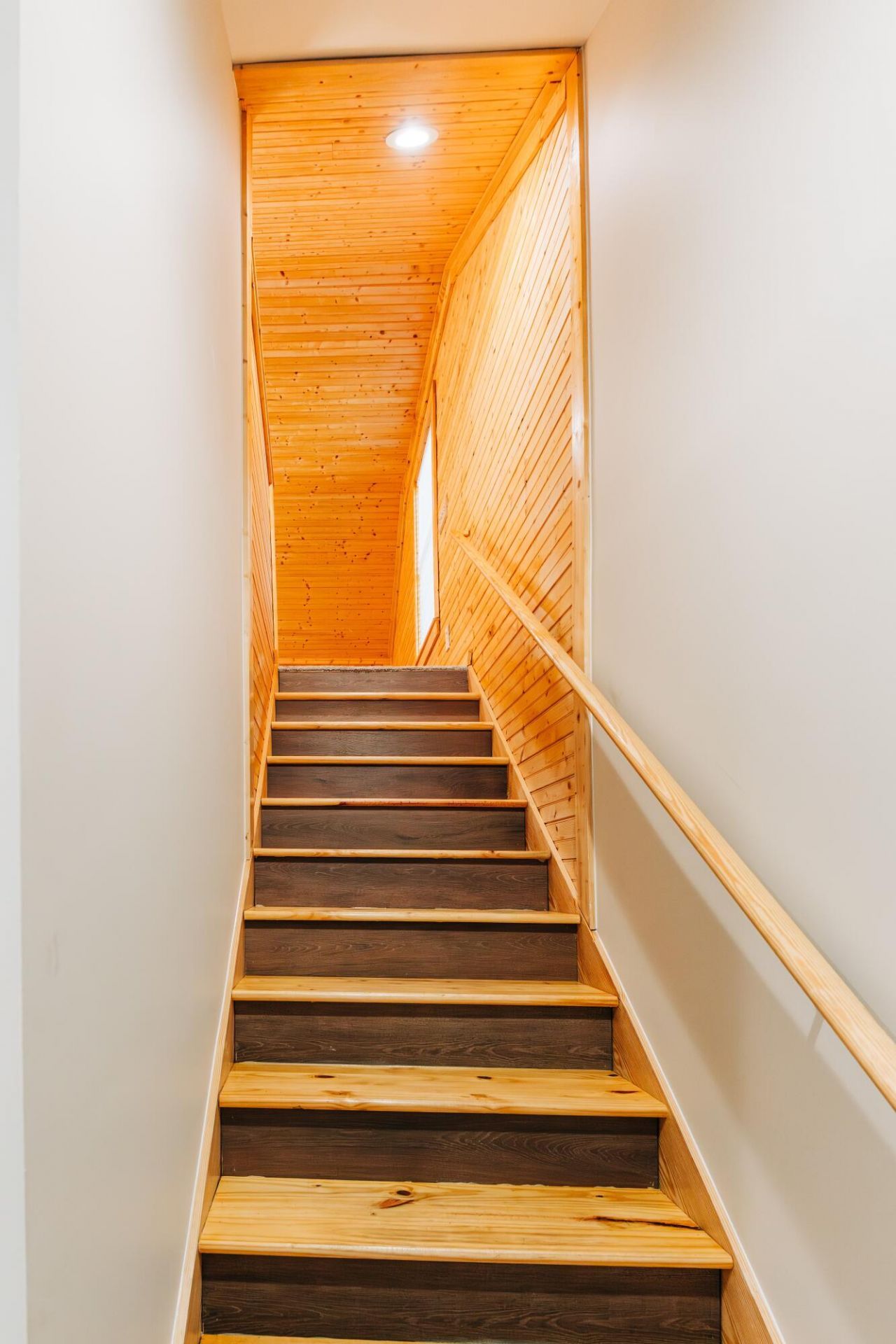 438 Locust Street Photo 39