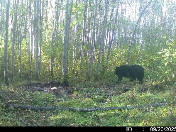 00004 Government Rd, Saxon, WI 54546