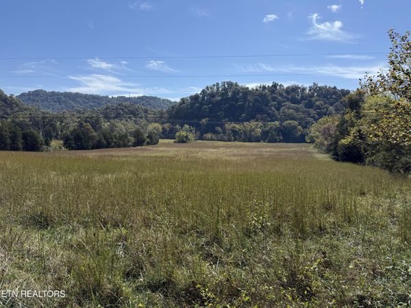 Pedigo Rd , Powell, TN 37849