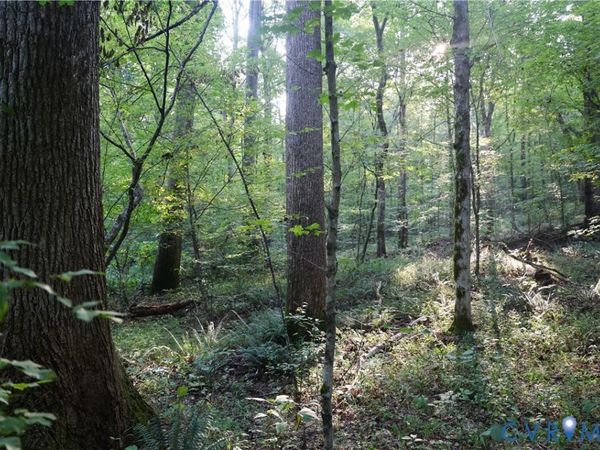 0 Redlawn, Boydton, VA 23917