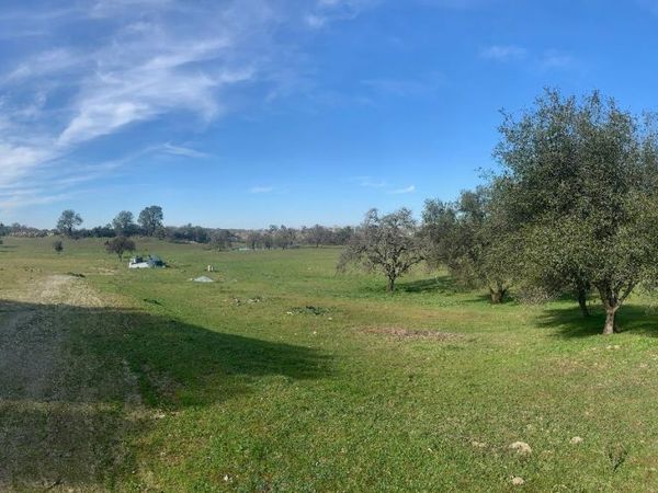 11176 S Camanche Pkwy, Wallace, CA 95354