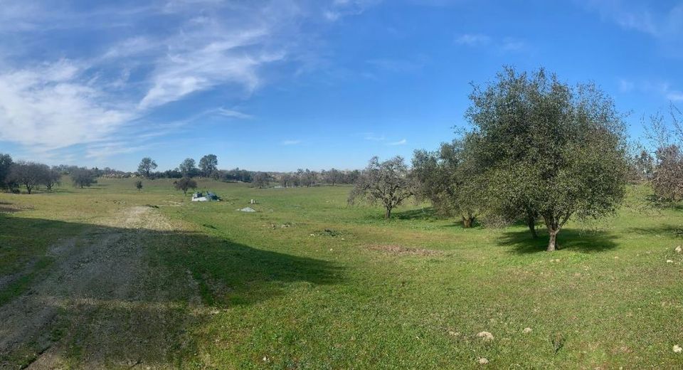 11176 S Camanche Pkwy, Wallace, CA 95354 Photo