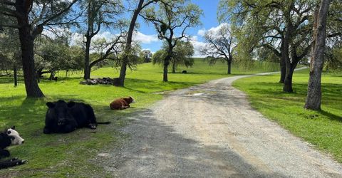 11176 S Camanche Pkwy, Wallace, CA 95354 Photo