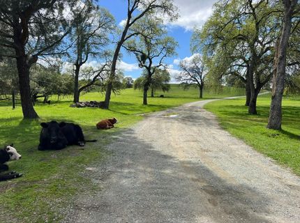 11176 S Camanche Pkwy, Wallace, CA 95354 Photo