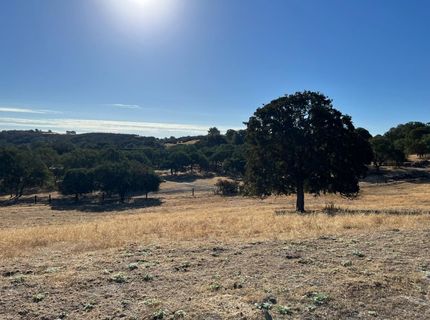 11176 S Camanche Pkwy, Wallace, CA 95354 Photo