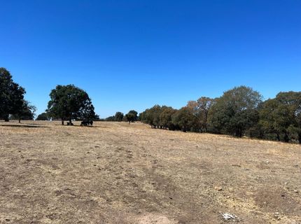 11176 S Camanche Pkwy, Wallace, CA 95354 Photo