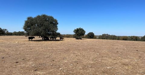 11176 S Camanche Pkwy, Wallace, CA 95354 Photo