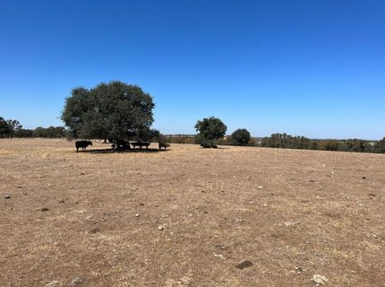 11176 S Camanche Pkwy, Wallace, CA 95354 Photo