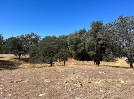 11176 S Camanche Pkwy, Wallace, CA 95354 Photo