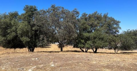 11176 S Camanche Pkwy, Wallace, CA 95354 Photo