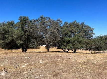 11176 S Camanche Pkwy, Wallace, CA 95354 Photo