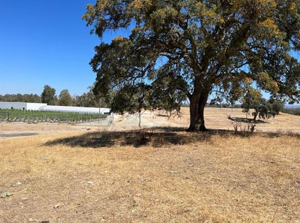 11176 S Camanche Pkwy, Wallace, CA 95354 Photo