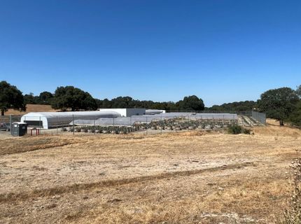 11176 S Camanche Pkwy, Wallace, CA 95354 Photo