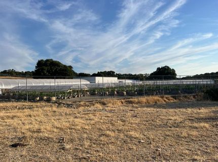 11176 S Camanche Pkwy, Wallace, CA 95354 Photo
