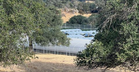 11176 S Camanche Pkwy, Wallace, CA 95354 Photo
