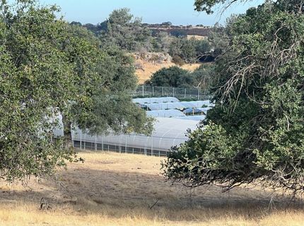 11176 S Camanche Pkwy, Wallace, CA 95354 Photo
