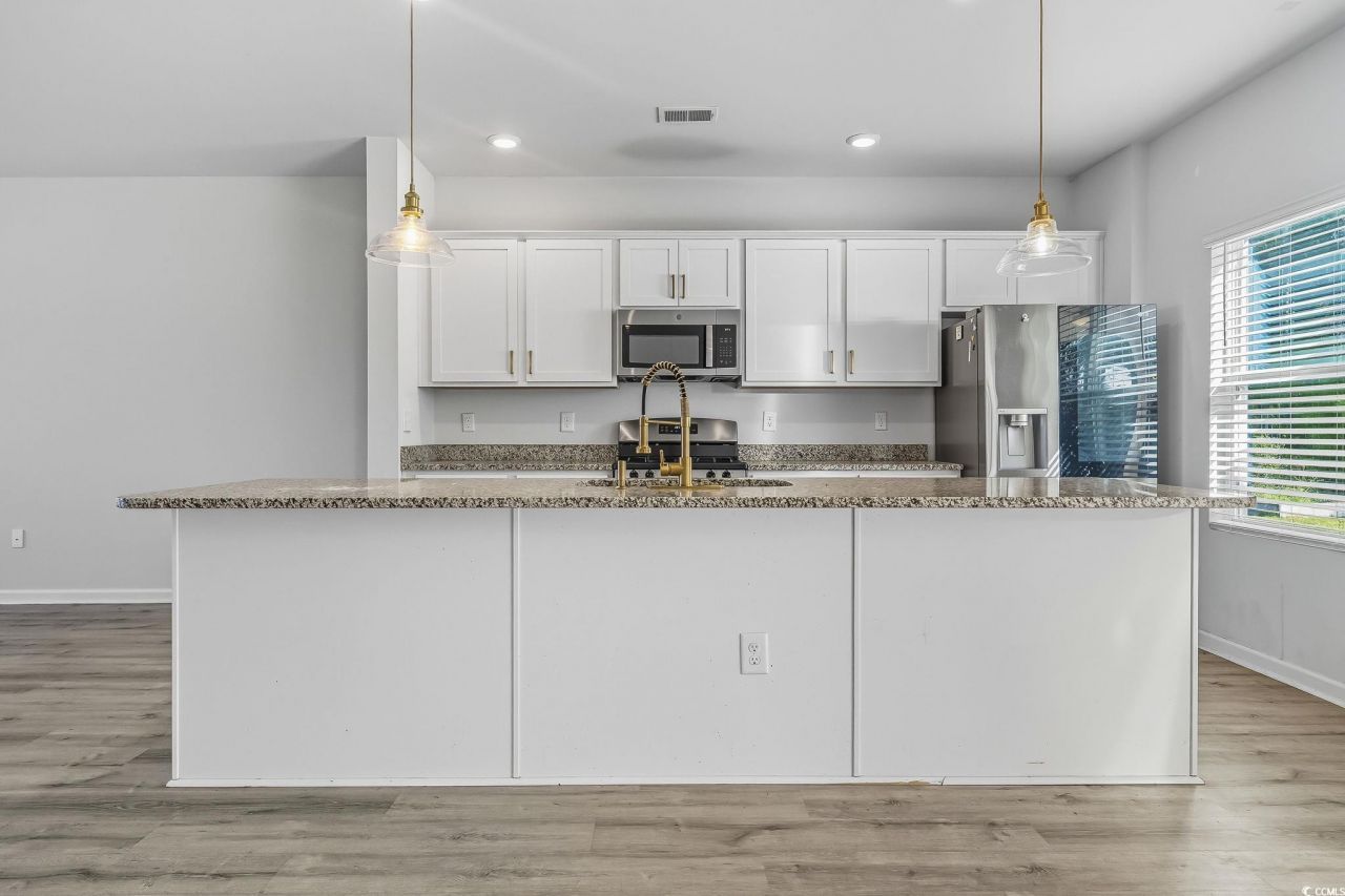 437 Stevia Ct. Photo 9