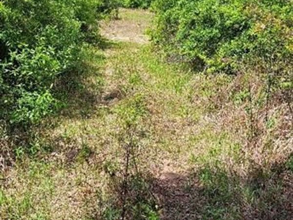 10776 Christopher Lane, Semmes, AL 36575