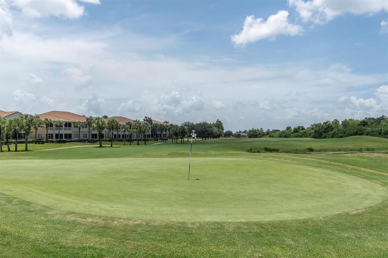 301 Thorn Hill Place, Sun City Center, FL 33573 Photo