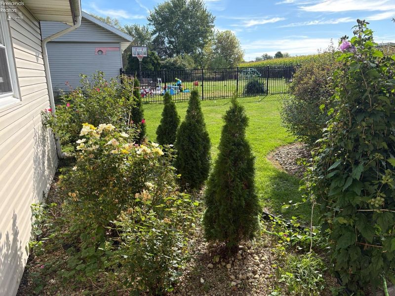 1981 Skinner Road, Plymouth, OH 44865 Photo 10