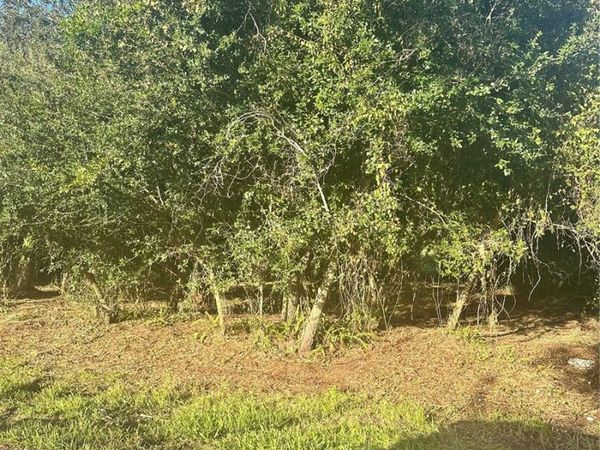 13 SUNFLOWER STREET, PUNTA GORDA, FL 33982