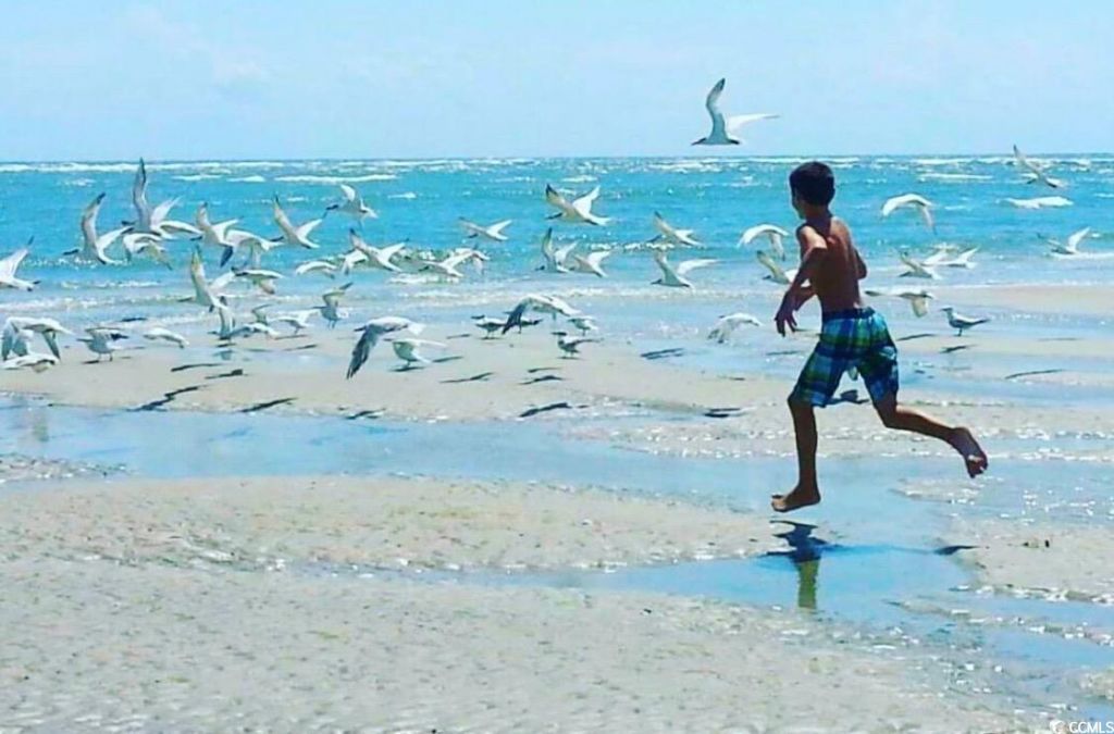 Tbd Oak St. Photo 14