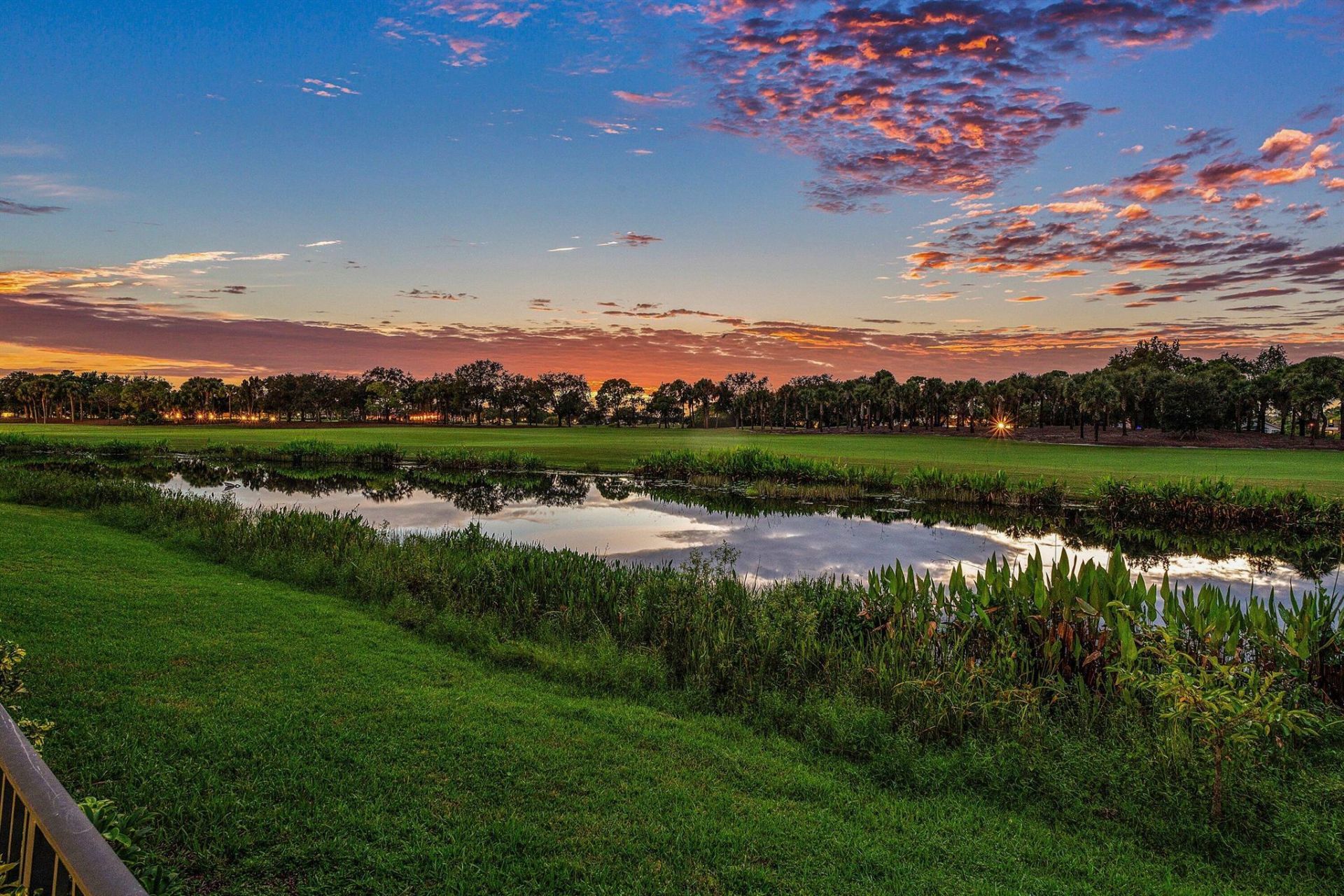 9910 Bay Leaf Court, Parkland, FL 33076 Photo