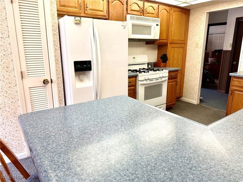 55794 Bel Haven, Bellaire, OH 43906 Photo 17