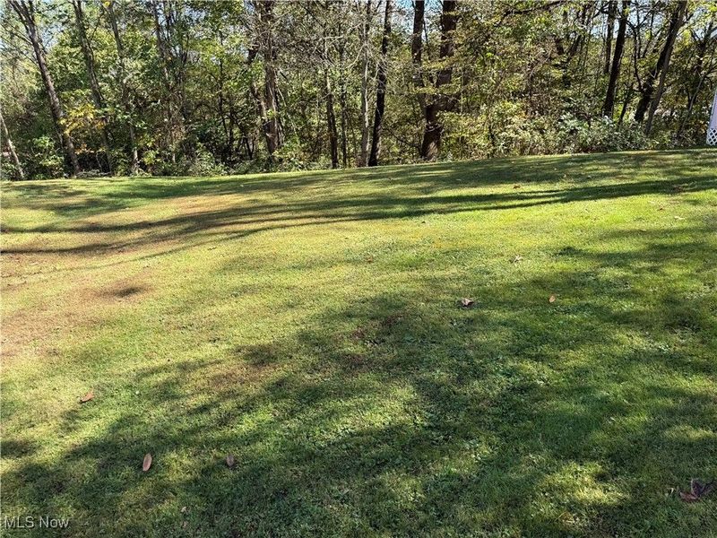 55794 Bel Haven, Bellaire, OH 43906 Photo 37