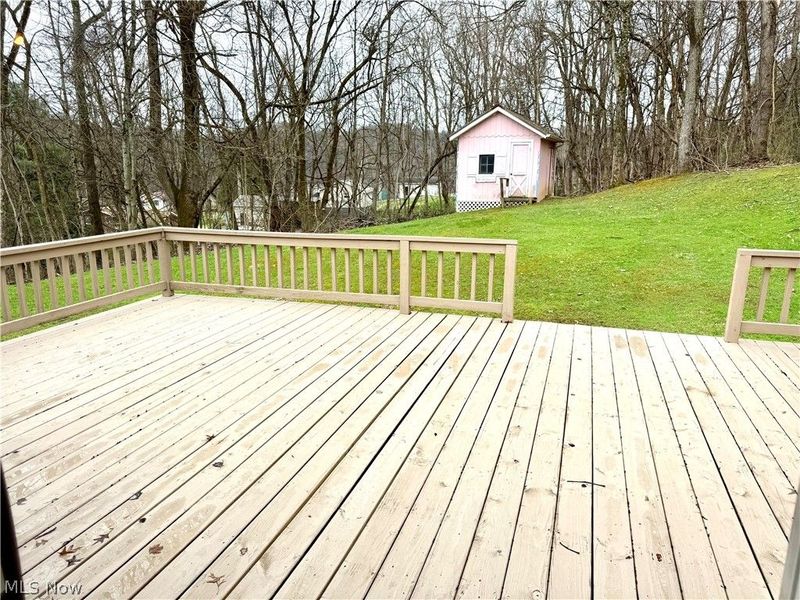 55794 Bel Haven, Bellaire, OH 43906 Photo 48