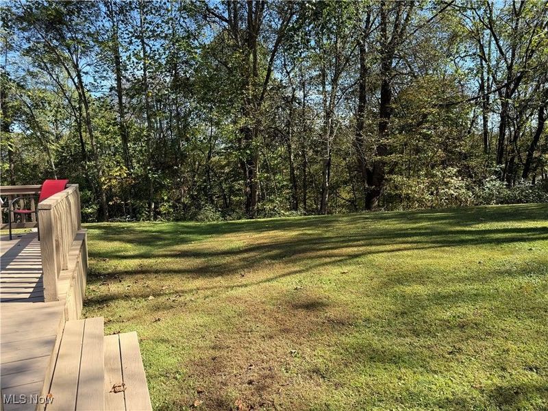 55794 Bel Haven, Bellaire, OH 43906 Photo 5