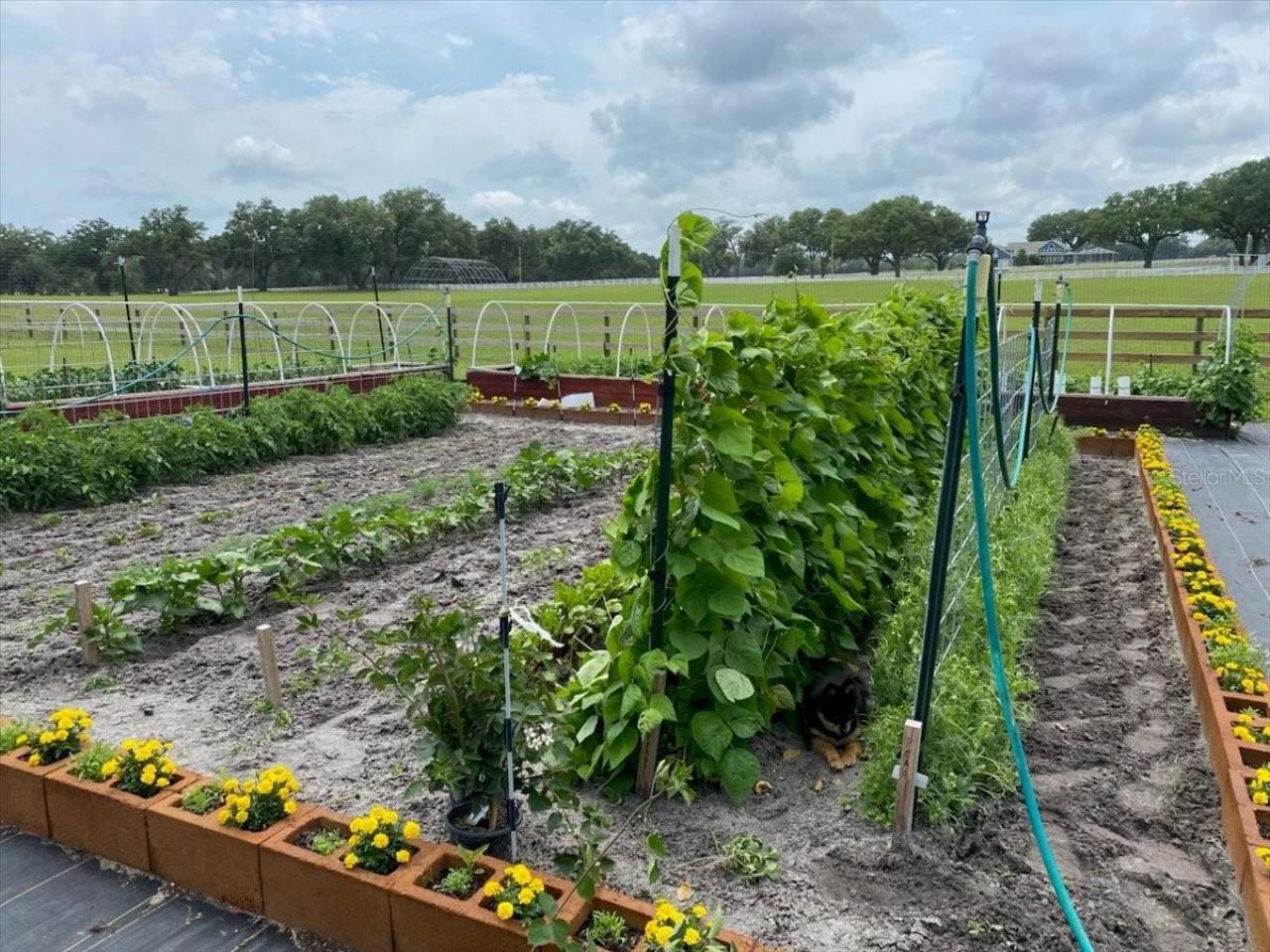 10151 NW 70th Street, Chiefland, FL 32626 Photo