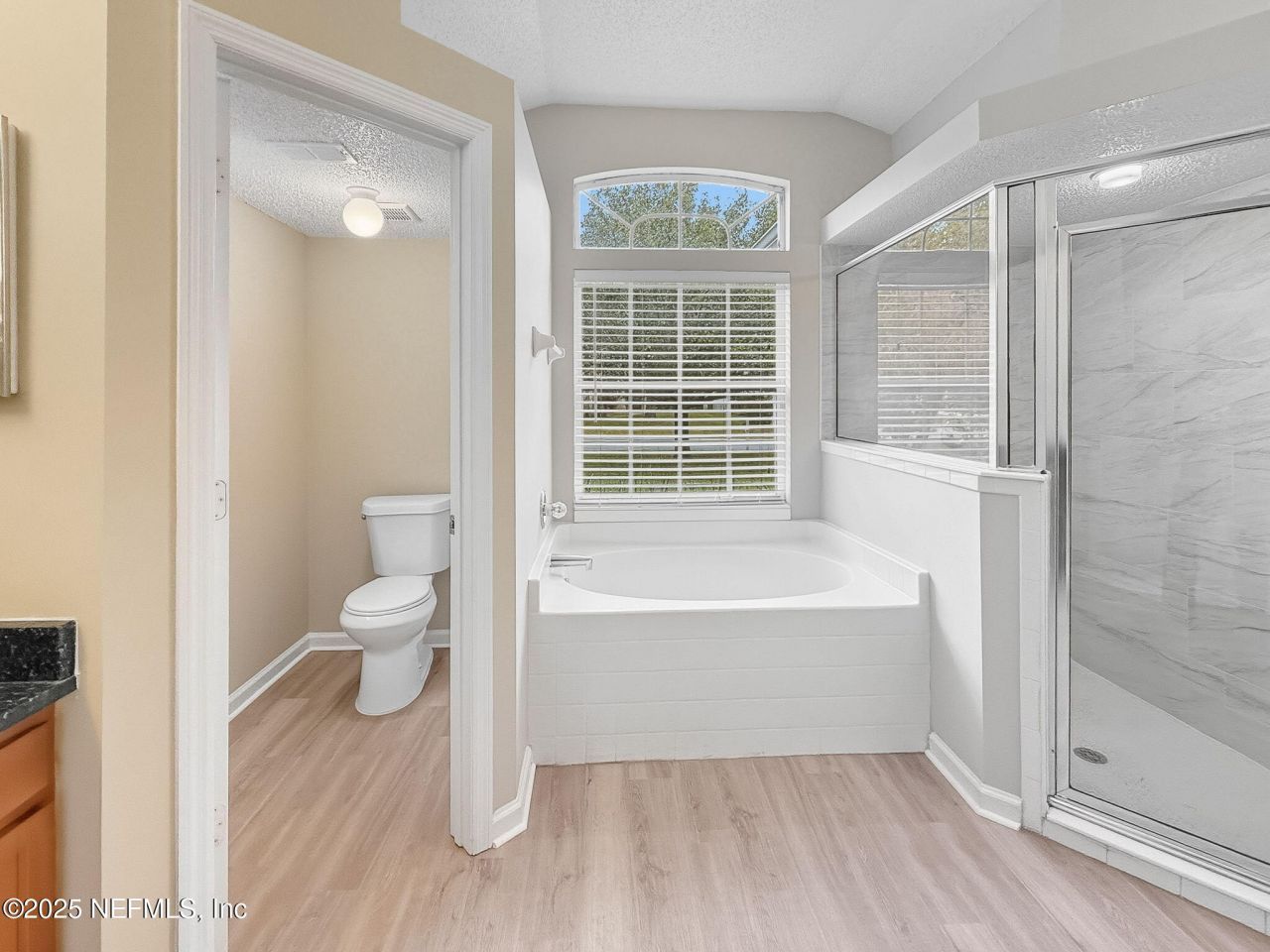 623 Hampton Downs Court, Fruit Cove, FL 32259 Photo