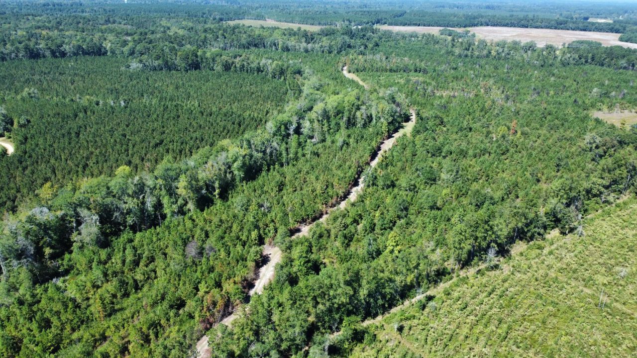 0 Beavers Pass Road Photo 1