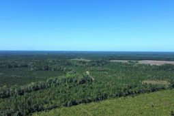 0 Beavers Pass Road photo 4