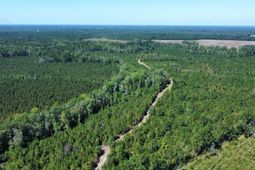 0 Beavers Pass Road photo 4