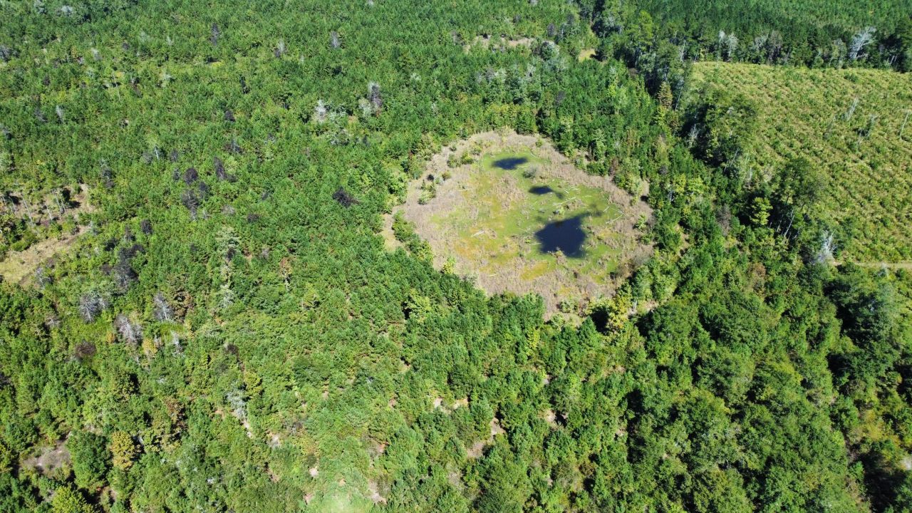 0 Beavers Pass Road Photo 4