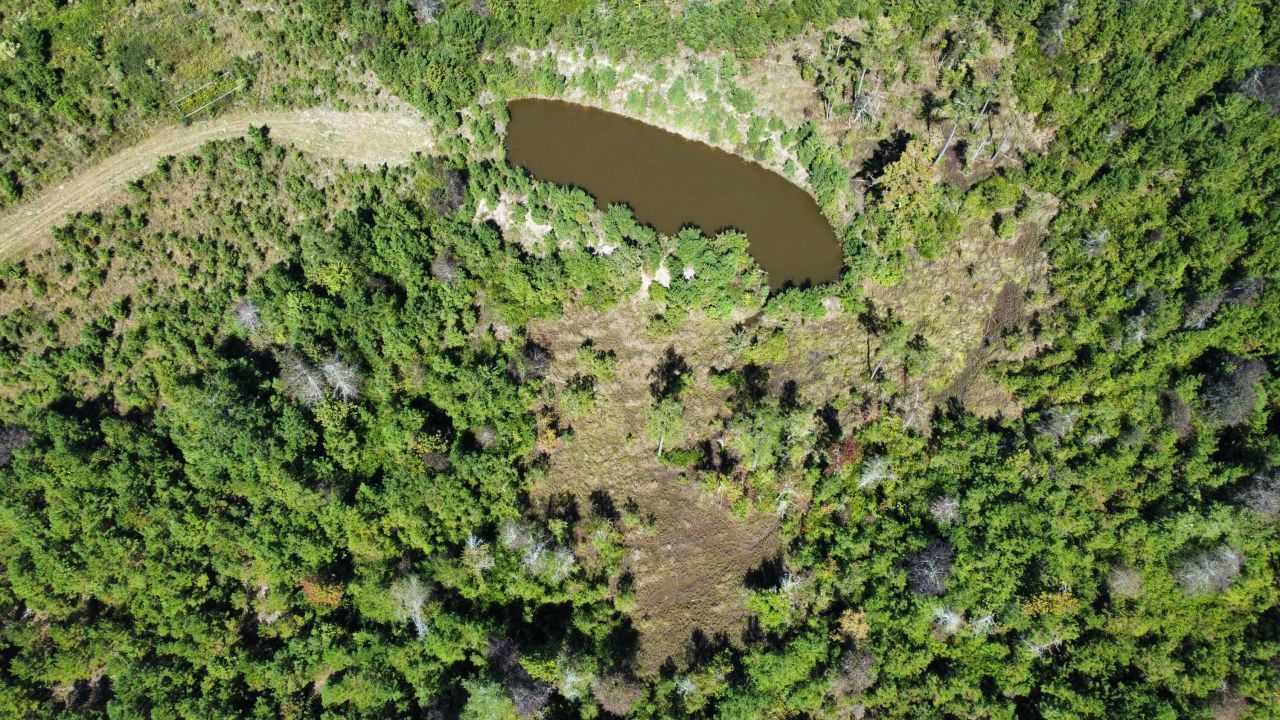 0 Beavers Pass Road Photo 5